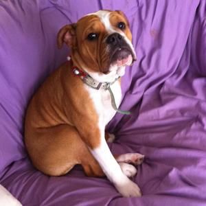 Meet your Posher, Ava